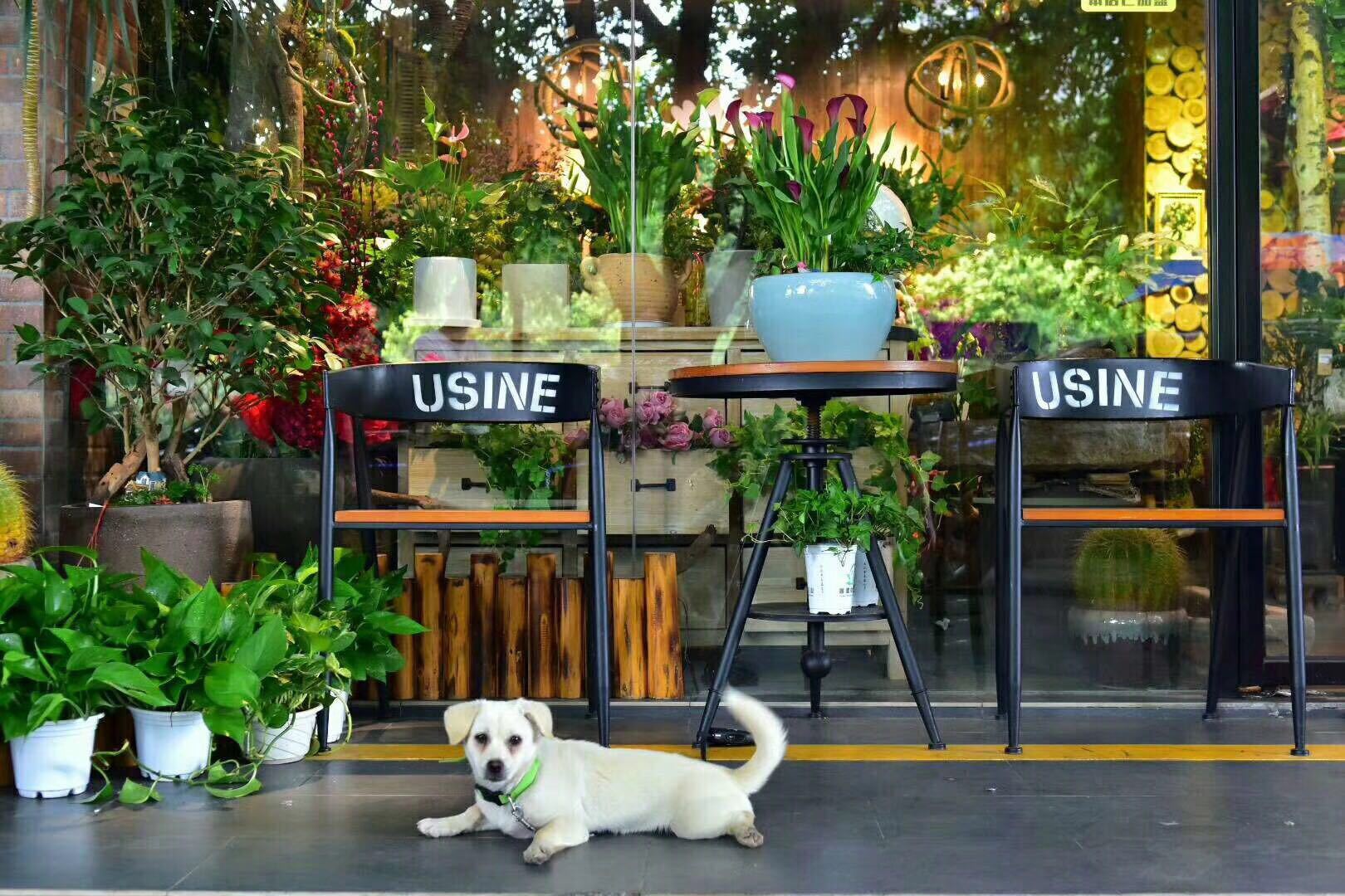 成都花艺工作室装修,花卉店铺装修效果图